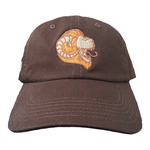 ARCH-Cap2