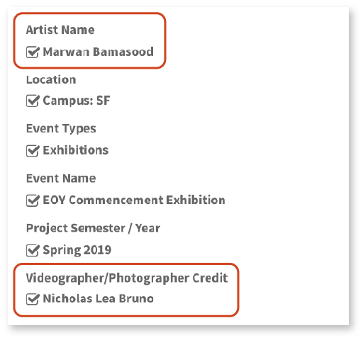 Artist Name and Videographer/Photographer Credit fields in Bynder image info
