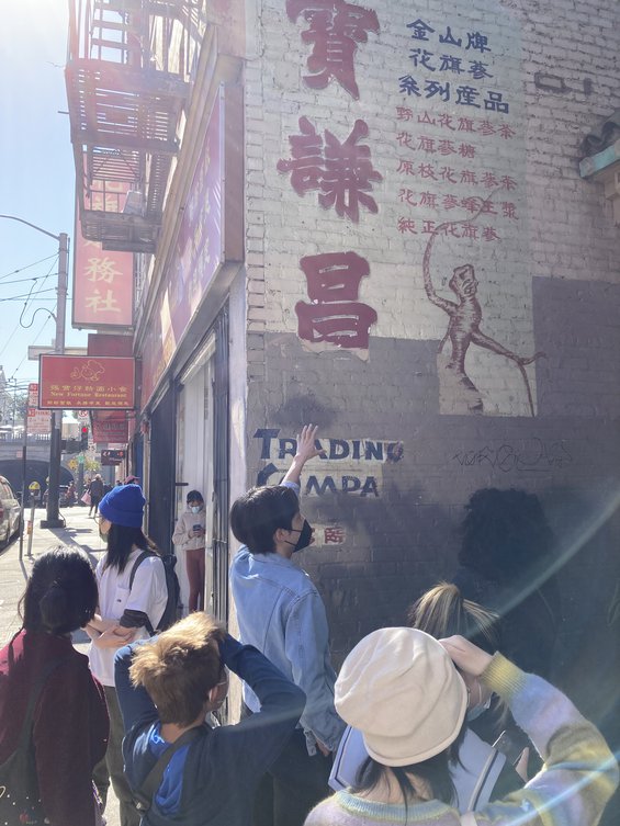 Image of Chinatown Type Walk with Peiran Tan