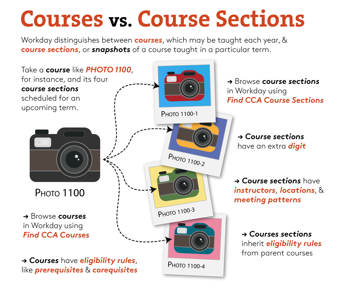 Courses_v_Course Sections@1.5x.png
