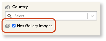 Has_Gallery_Filters.png