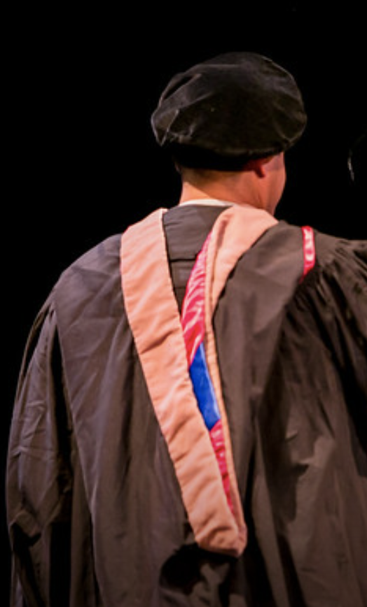 Color photo showing the back of someone in traditional academic regalia. They are wearing a tam (a velvety, beret-like cap), and a master's hood that drapes down their back.