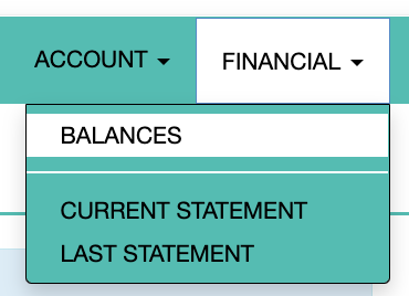Balances option in the Financial dropdown menu
