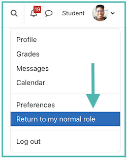 Highlighting the "Return to my normal role" option from the profile picture dropdown menu.