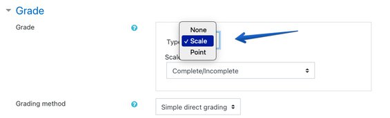 Selecting the grade type "scale" in Moodle