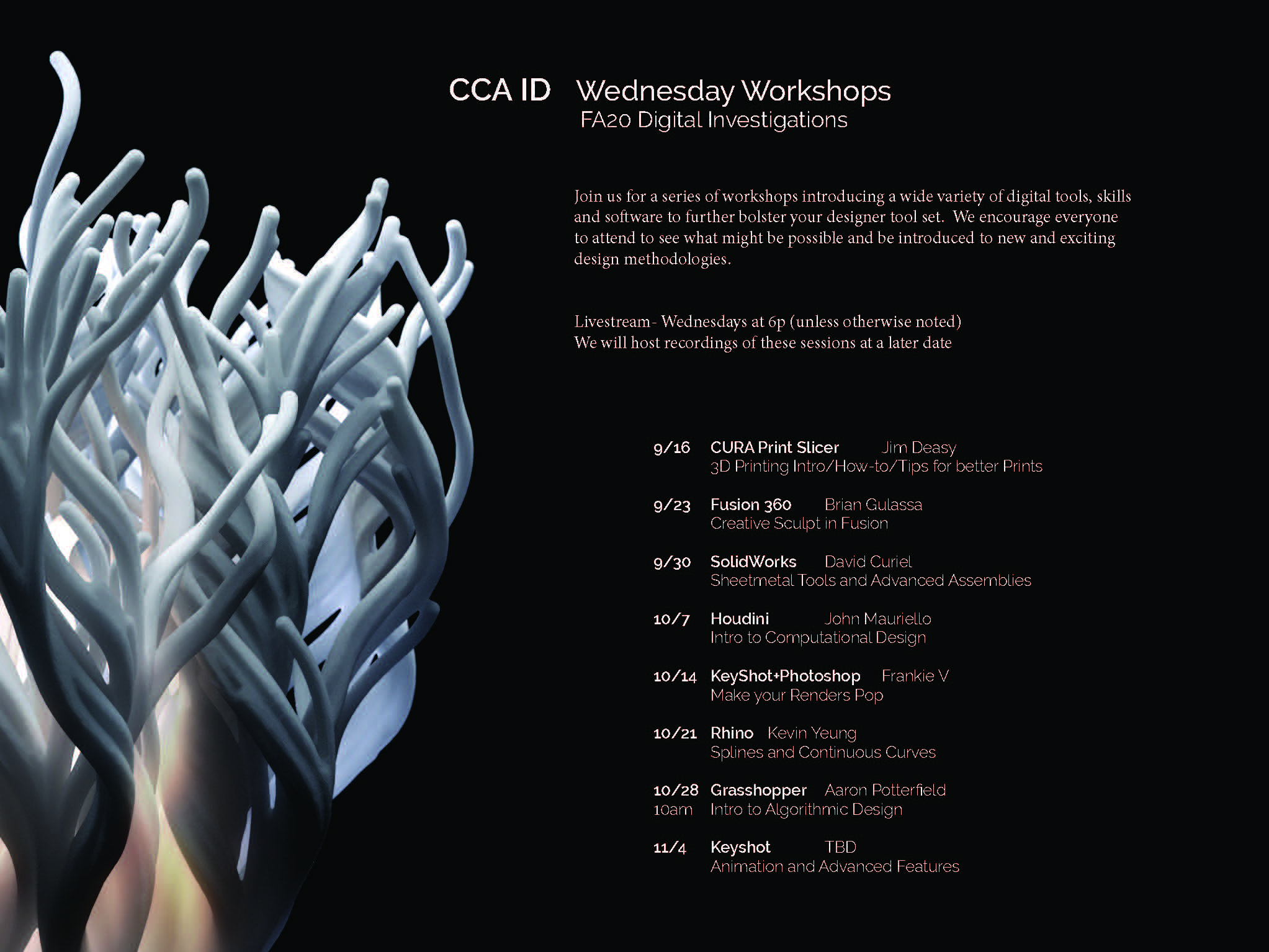Wednesday Workshop Poster (1).pdf