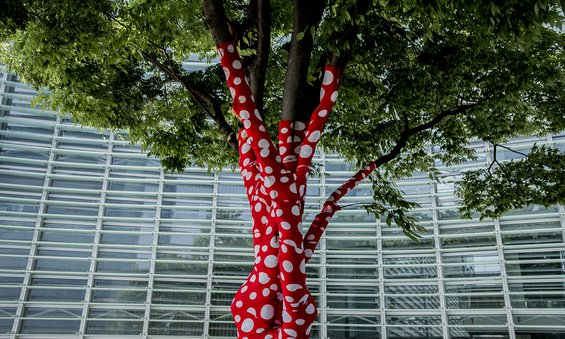 A tree whose multiple trunks are wrapped in red fabric with white polka dots.