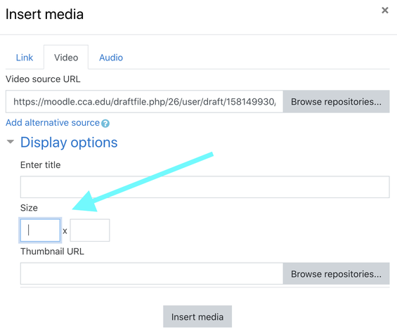 Moodle's video display options