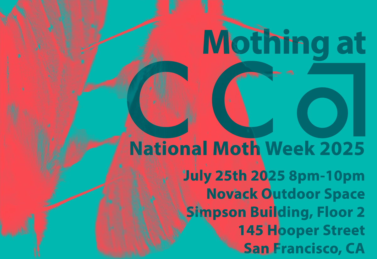 Mothing at CCA