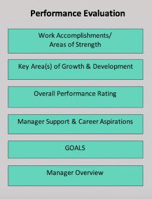 Overview of the performance evaluations process highlighting Work Results, Work Behaviors, and Goals as integral steps in the process