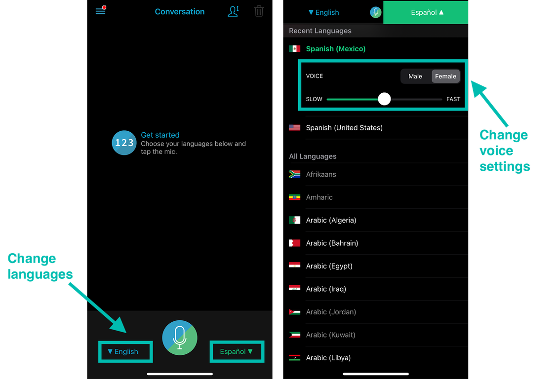 SayHi screenshot showing where to change languages and adjust voice type and speed