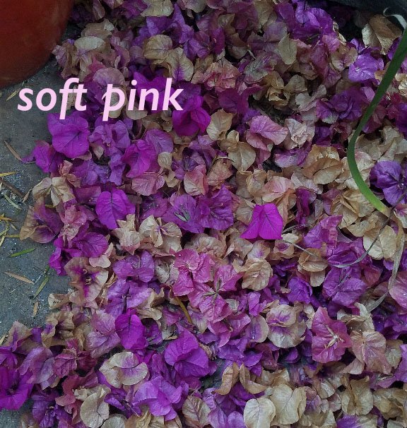 soft_pink_done.jpg