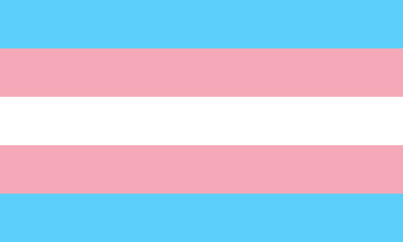 Image of trans flag, five horizontal stripes in alternating colors, light blue, pink, white, pink, light blue.