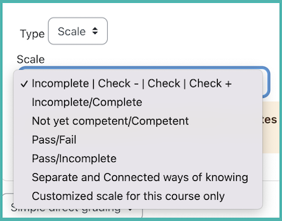Selecting the grade type "scale" in Moodle