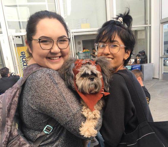 Students with therapy dogs